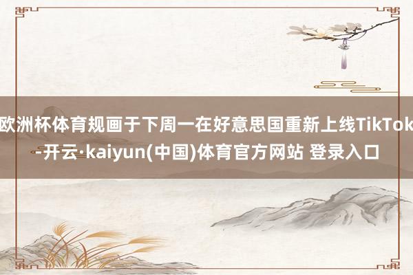 欧洲杯体育规画于下周一在好意思国重新上线TikTok-开云·kaiyun(中国)体育官方网站 登录入口