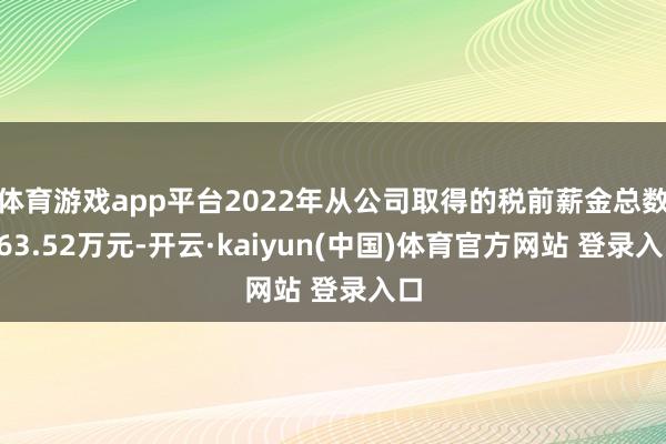 体育游戏app平台2022年从公司取得的税前薪金总数163.52万元-开云·kaiyun(中国)体育官方网站 登录入口