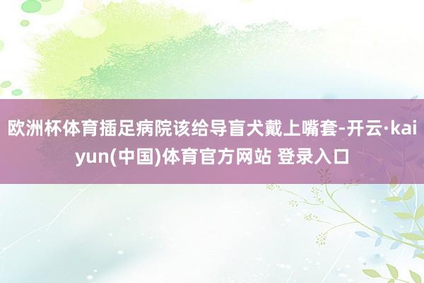 欧洲杯体育插足病院该给导盲犬戴上嘴套-开云·kaiyun(中国)体育官方网站 登录入口