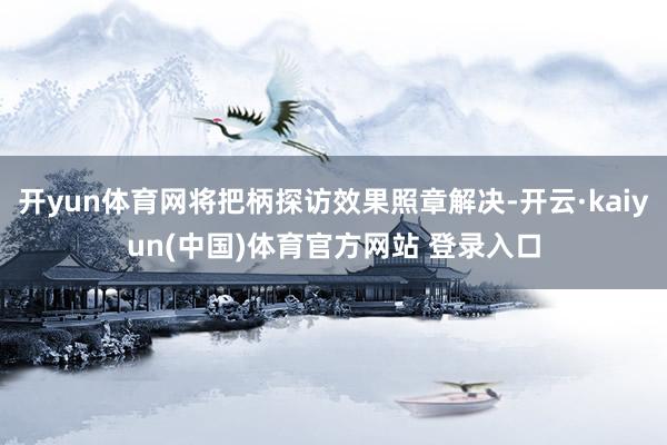 开yun体育网将把柄探访效果照章解决-开云·kaiyun(中国)体育官方网站 登录入口