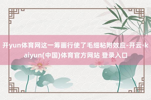 开yun体育网这一筹画行使了毛细粘附效应-开云·kaiyun(中国)体育官方网站 登录入口