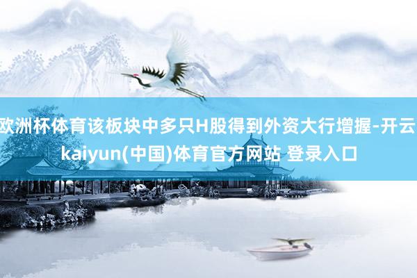 欧洲杯体育该板块中多只H股得到外资大行增握-开云·kaiyun(中国)体育官方网站 登录入口