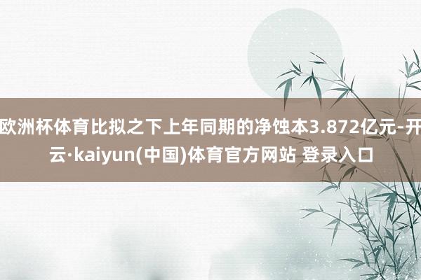 欧洲杯体育比拟之下上年同期的净蚀本3.872亿元-开云·kaiyun(中国)体育官方网站 登录入口