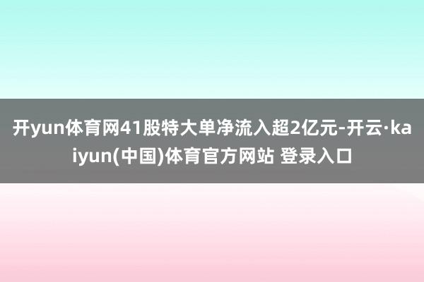 开yun体育网41股特大单净流入超2亿元-开云·kaiyun(中国)体育官方网站 登录入口