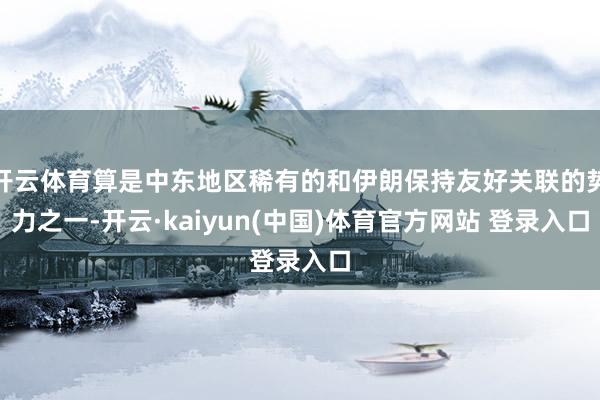 开云体育算是中东地区稀有的和伊朗保持友好关联的势力之一-开云·kaiyun(中国)体育官方网站 登录入口