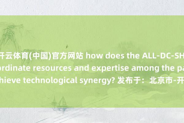 开云体育(中国)官方网站 how does the ALL-DC-SHIPS project coordinate resources and expertise among the partners to achieve technological synergy? 发布于：北京市-开云·kaiyun(中国)体育官方网站 登录入口