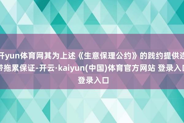 开yun体育网其为上述《生意保理公约》的践约提供连带拖累保证-开云·kaiyun(中国)体育官方网站 登录入口
